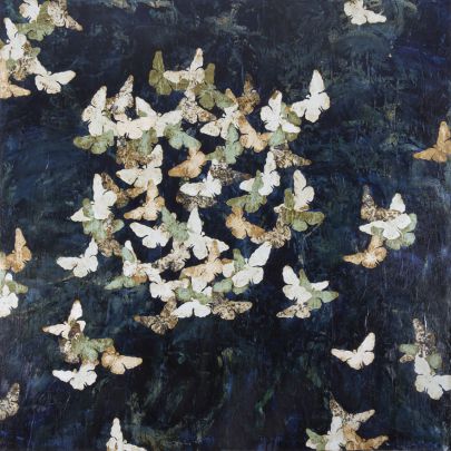 La nuit des papillons